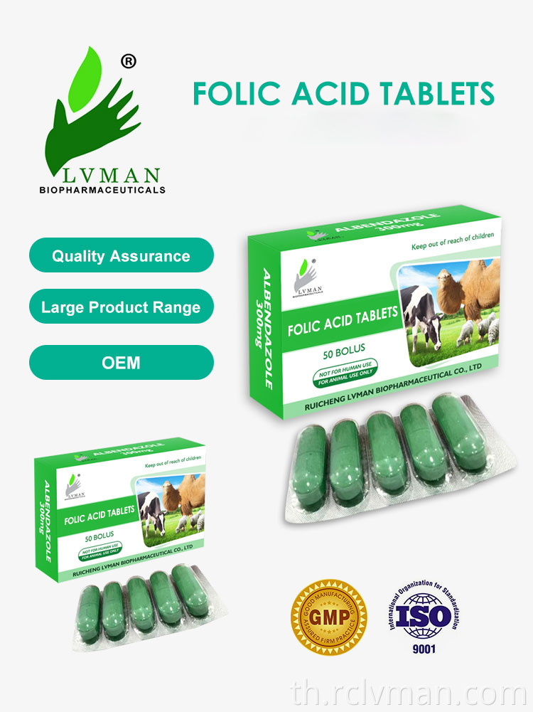 เม็ดกรดโฟลิก Folic Acid Tablets